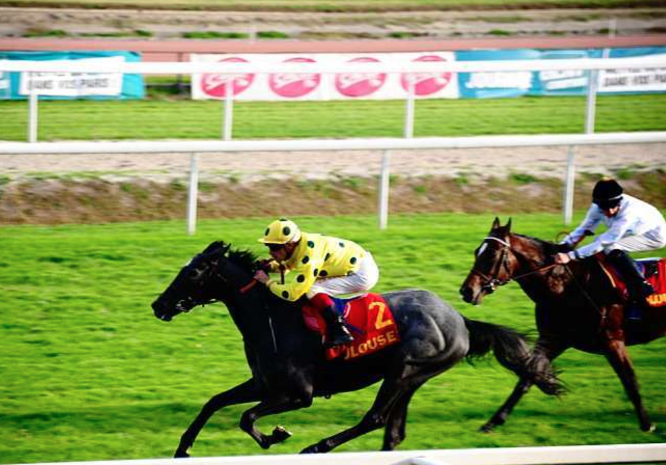 pronostic gratuit || pronostic gratuit turf